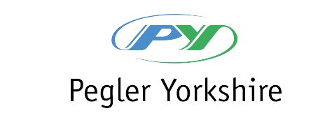 Logo 1